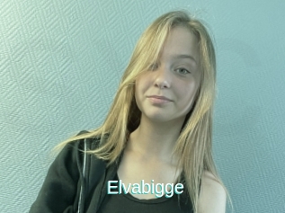 Elvabigge