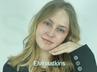 Elvinaatkins