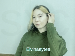Elvinaaytes
