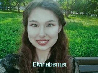 Elvinaberner