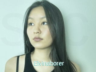 Elvinaborer