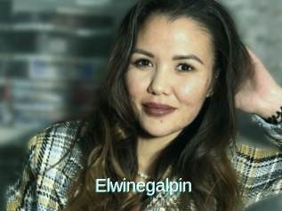 Elwinegalpin