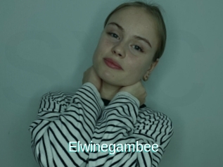 Elwinegambee
