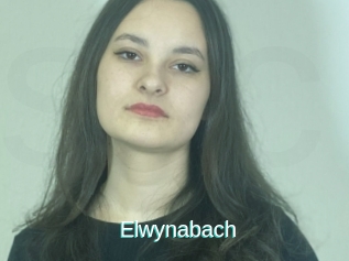 Elwynabach