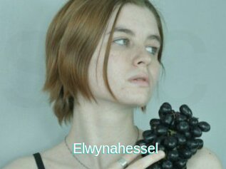 Elwynahessel