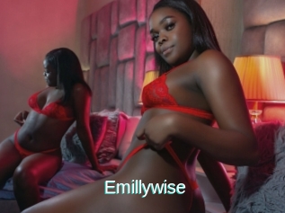Emillywise