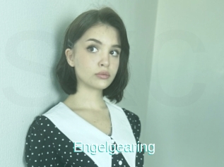 Engelgearing