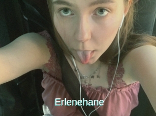 Erlenehane