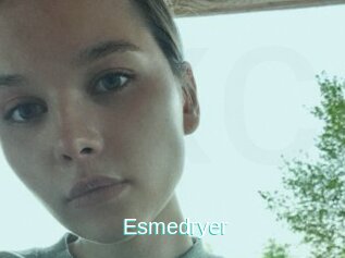 Esmedryer