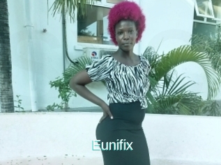 Eunifix