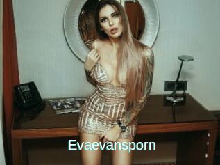 Evaevansporn