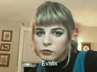 Evalix