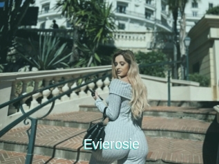 Evierosie