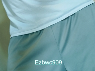 Ezbwc909