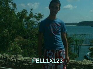 FELL1X123