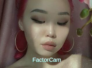 FactorCam