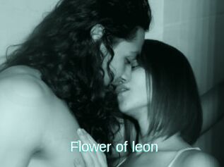 Flower_of_leon