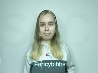 Fancybibbs