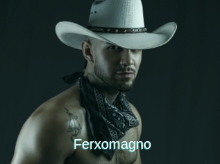Ferxomagno