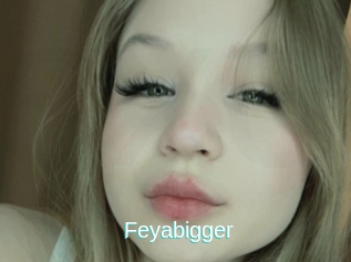 Feyabigger