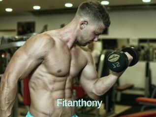 Fitanthony