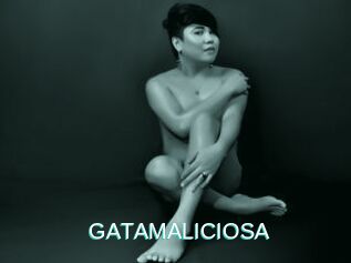 GATAMALICIOSA