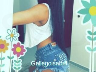 Gallegoisabel