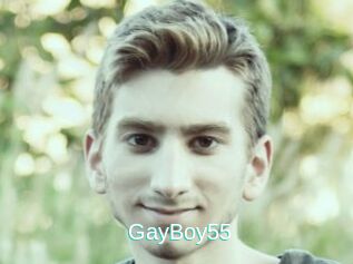 GayBoy55