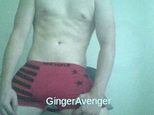 GingerAvenger