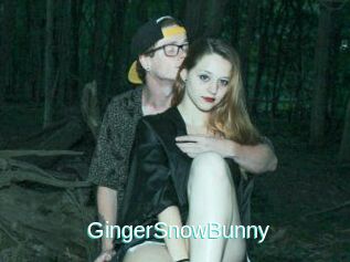 GingerSnowBunny
