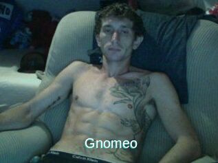 Gnomeo