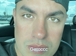 Gatoccc