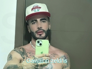Gawainn_zeldris
