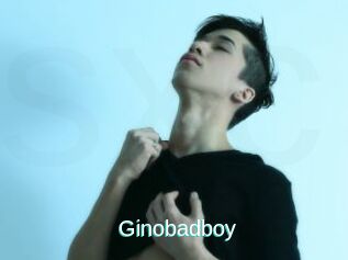 Ginobadboy