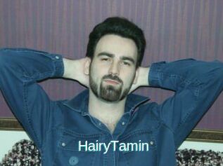 HairyTamin