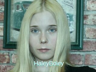 HaleyBoley