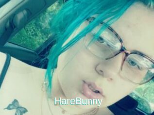 HareBunny