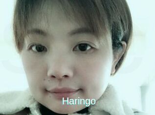 Haringo