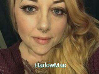 Harlow_Mae