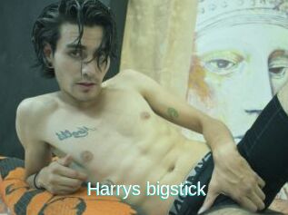 Harrys_bigstick