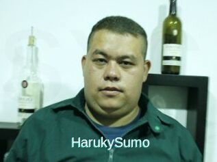 Haruky_Sumo
