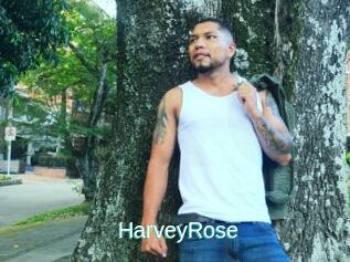 HarveyRose