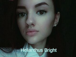 Helianthus_Bright