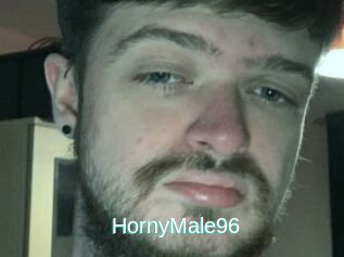 HornyMale96