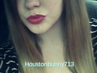Houstonbunny713