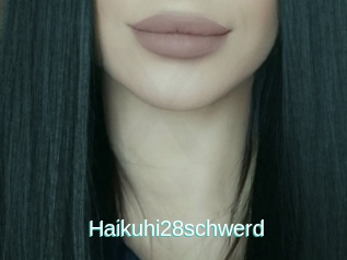 Haikuhi28schwerd