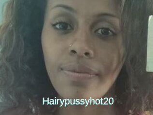 Hairypussyhot20