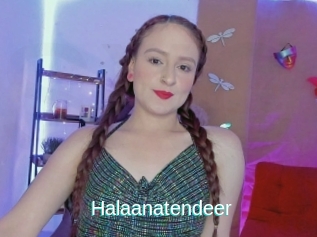 Halaanatendeer