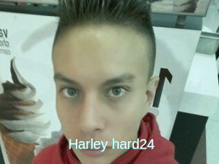 Harley_hard24