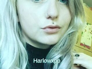 Harlowxpp